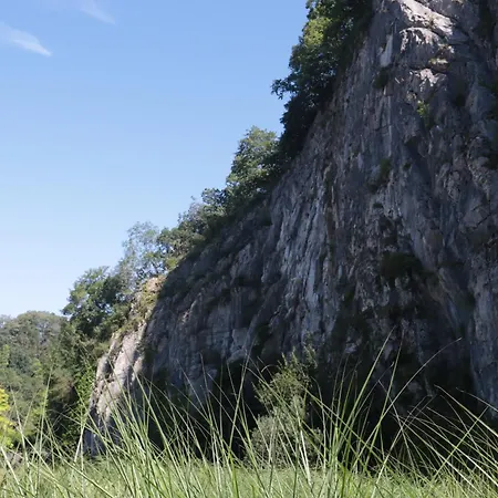 Chalet Sunclass 98 Woody