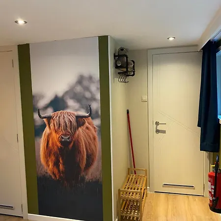 Chalet Sunclass 98 Woody