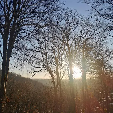 Chalet Sunclass 98 Woody