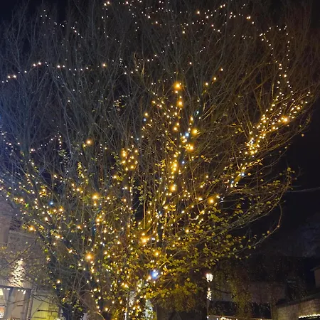 Chalet Sunclass 98 Woody